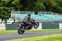 cadwell-no-limits-trackday;cadwell-park;cadwell-park-photographs;cadwell-trackday-photographs;enduro-digital-images;event-digital-images;eventdigitalimages;no-limits-trackdays;peter-wileman-photography;racing-digital-images;trackday-digital-images;trackday-photos